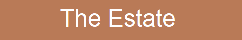 Dorfman banner